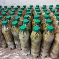 خیارشور ترد و ارگانیک بطری 100