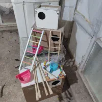 اغول گرنجیک لوازم جانبی قفس