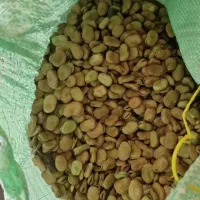 باقالی عمده|عمده‌فروشی|رشت, چله خانه|دیوار