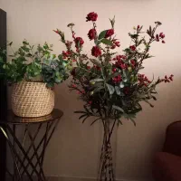 بوته اکالیپتوس