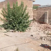 فروش حیاط کلنگی الخیچی روستایی کردار|فروش زمین و ملک کلنگی|آذرشهر, |دیوار
