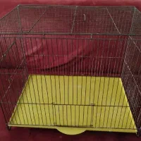 قفس پرنده