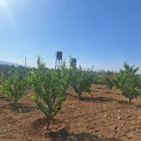 زمین باغشهری کودیان قره چمن|فروش زمین و ملک کلنگی|شیراز, شهرک قمشه|دیوار