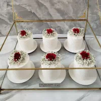 کیک خانگی شاتوت شاهین دژ