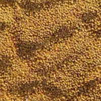 بذر یونجه درجه یک محصول خودمه ب