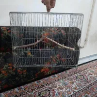 قفس ۴۰ سانتی