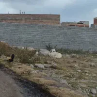 زمین حصارکشی شده