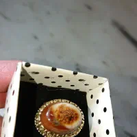 انگشتر نقره عقیق سلیمانی