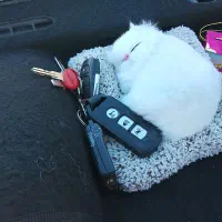 دسته کلید و ریموت پیدا شده