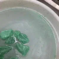 رفع قطعی شپش|آرایشی، بهداشتی، درمانی|اردکان, |دیوار