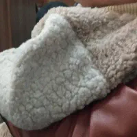 بلوز شلوار تدی گرم|کفش و لباس بچه|اردبیل, |دیوار