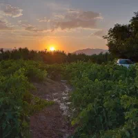 زمین کشاورزی. روستای اناج|فروش زمین و ملک کلنگی|قره چای, |دیوار