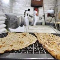 جواز نانوای سنگکی فدک