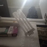 مهتابی دوقلو نو