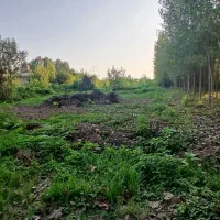 زمین باغی|فروش زمین و ملک کلنگی|رشت, شکار اسطلخ|دیوار