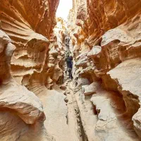 نیازمند کانترمن جلوی درب ستی سنتر|استخدام بازاریابی و فروش|قشم, |دیوار