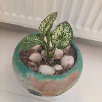 کارگر ساده