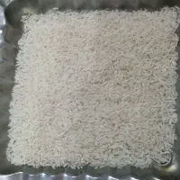 برنج هاشمی