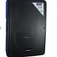 باند اکتیو چیرمن w600