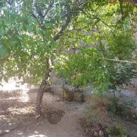 خانه ویلایی کلنگی تهاتر با آپارتمان|فروش خانه و ویلا|گلمکان, |دیوار