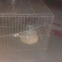 وسایل خانه|مبلمان خانگی و میز عسلی|اصفهان, شهرک امام خمینی|دیوار