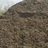 پخش کود  درجه یک حیوانی در سرتا سر   شهرستان  ها