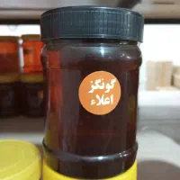 عسل طبیعی|خوردنی و آشامیدنی|قم, قلعه کامکار|دیوار
