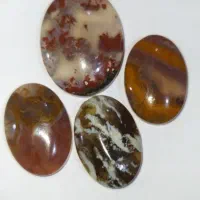 نگین انگشتر عقیق شجر مصور و پاییزی