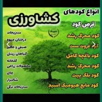 کود ارگانیک مرغی