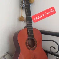 گیتارهای حرفه ای کمیاب اورجینال|گیتار، بیس، امپلیفایر|تایباد, |دیوار