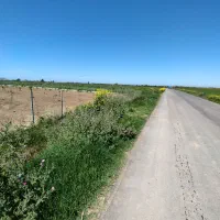 3000مترباغچه بالوکیشن ایده آل برای سرمایه گذاری