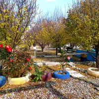 اجاره خانه باغ|اجارهٔ کوتاهمدت ویلا و باغ|ایوان, |دیوار