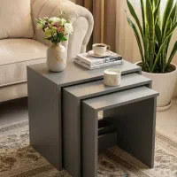 میز عسلی سه تیکه|مبلمان خانگی و میز عسلی|شاهین‌شهر, سعدی جنوبی|دیوار