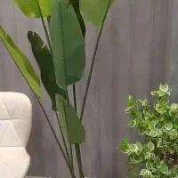 خانه ویلایی اجاره