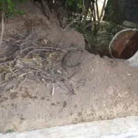 خاک باغ شاهدیه