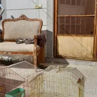 ۴عد قفس مرغ وپرنده به فروش