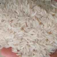 برنج طارم فجر