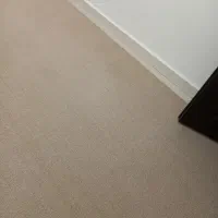 پالاز موکت