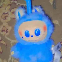 دوعدد لبوبو نو|اسباب‌بازی بچه|میناب, |دیوار