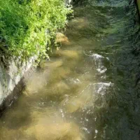 فروش-باغ-در-روستای-آهق