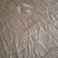 روتختی تمیز ونو