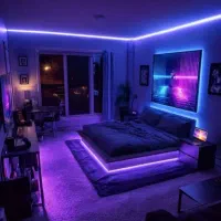 برقکار برقکش