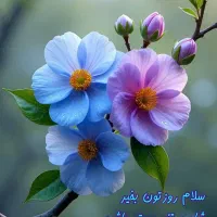 مدل برای میکاپ