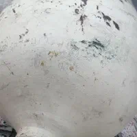 مخزن گاز پراید