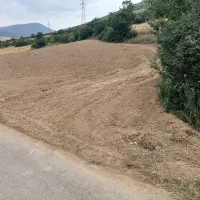 5600متر زمین کشاورزی برجاده اصلی|فروش دفتر صنعتی، کشاورزی، تجاری|کیاسر, |دیوار