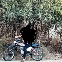 موتور سیکلت|موتورسیکلت|جغتای, |دیوار