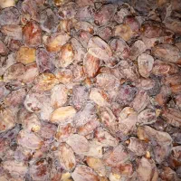 فروش ضایعات خرما