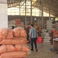 برنج ایرانی/هاشمی سورت شده