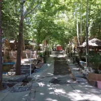 باشگاه بدنسازی باغ بهشت اجاره استخر سونا جکوزی