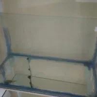 فروش انواع سایز آکواریوم بعلت جمع آوری سالن|ماهی|همدان, |دیوار